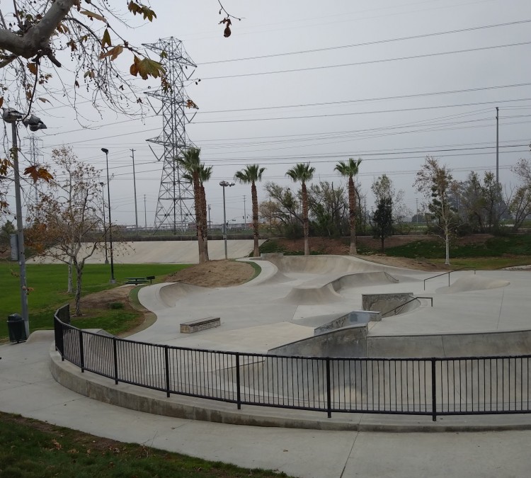 skate-board-park-photo